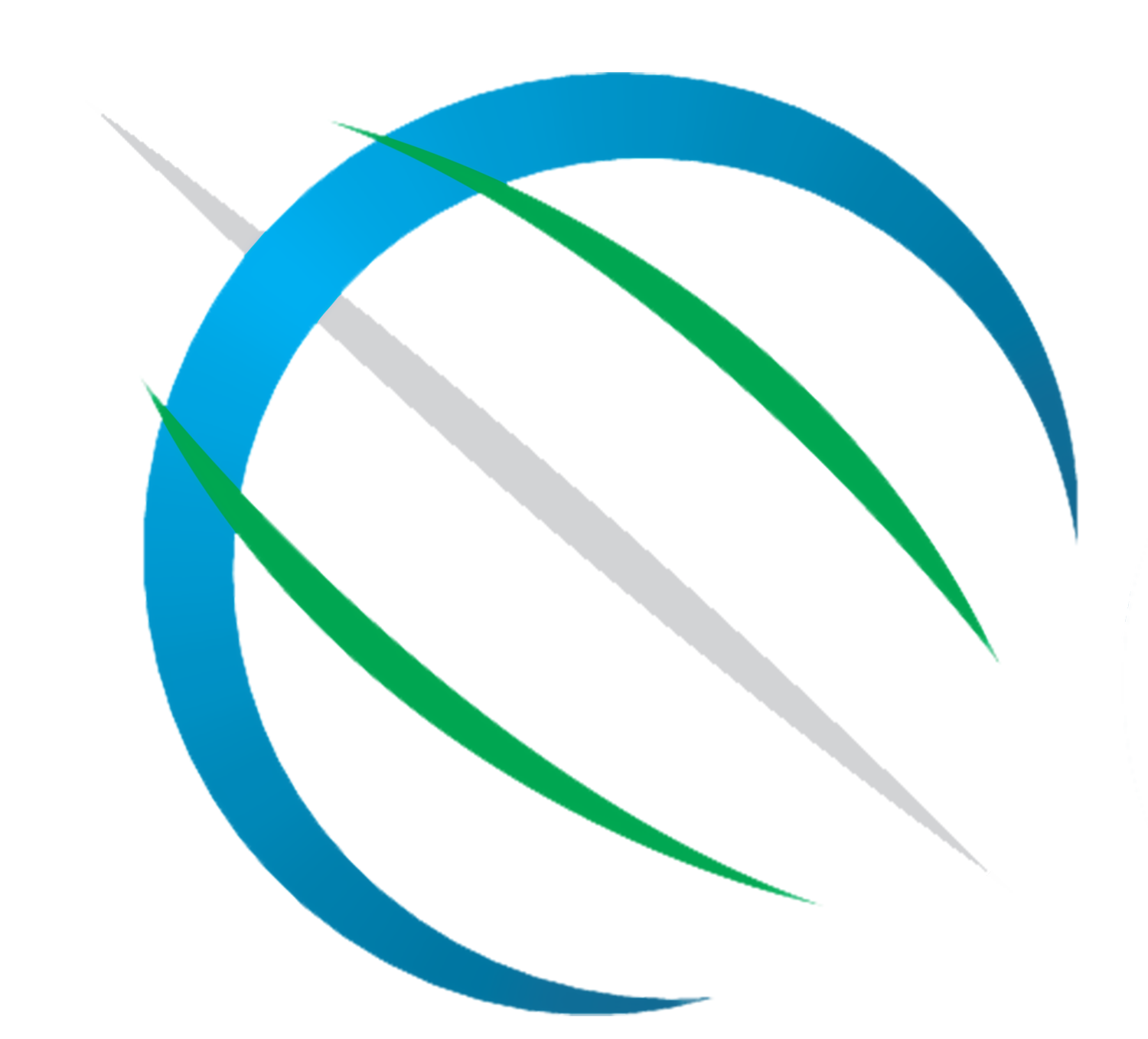 GeoNet Technologies Inc. logo